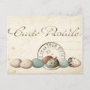 Search for bird eggs postcards French
