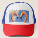 Search for wild birds hats Animal
