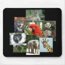 Search for genetics mousepads Biology