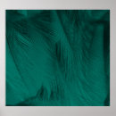 Search for peacock feathers art Luxury