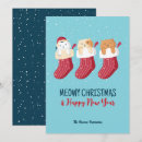 Search for cat pun christmas cards Funny
