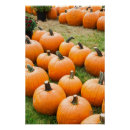 Search for pumpkins at posters Agriculture