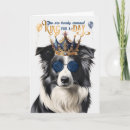 Search for border collie birthday cards Pets