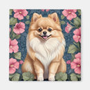 Search for petunia magnets Pretty