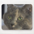 Search for portrait mousepads Orange