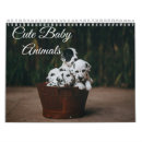Search for adore photography Dogs