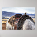 Search for saddle posters Nature