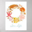 Search for turtle shell art Ocean