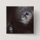 Search for caldera accessories Satellite view