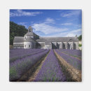 Search for gordes magnets Europe