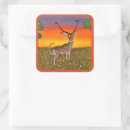 Search for gazelle stickers Africa