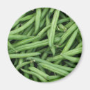 Search for bean magnets Photography