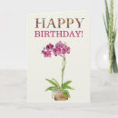 Search for moth birthday cards Blue