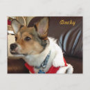 Search for ducky postcards Dog
