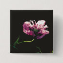 Search for pink poppies badges Floral