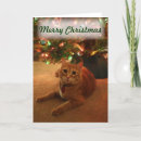 Search for tabby christmas cards Animal