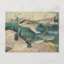 Search for vintage alligator postcards Vintage old retro