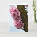 Search for spring tree cards Flowers