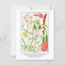 Search for vintage wildflowers postcards Antique