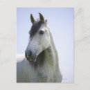 Search for body shape postcards Low angle view