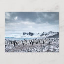Search for colonial cards Winter
