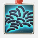 Search for bacteria christmas tree decorations Bacterium