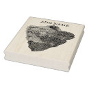 Search for shell postage rubber stamps Shells