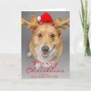 Search for pembroke welsh corgi christmas cards Usa