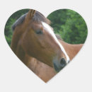 Search for horse love stickers I love horses
