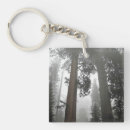 Search for giant key rings Park