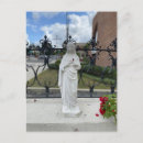 Search for flower petals postcards Photography