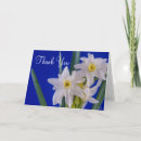 Search for narcissus cards Daffodil