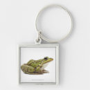 Search for frog key rings Reptiles