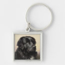 Search for newfoundland dog key rings Animal