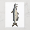 Search for juvenile postcards Fish