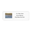 Search for alligator return address labels Reptile