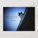 Search for funny cat sayings postcards For him