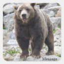Search for kodiak bear stickers Nature