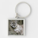 Search for primate key rings Endangered