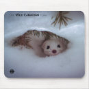 Search for weasel mousepads Nature