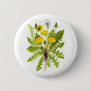 Search for dandelion badges Weed