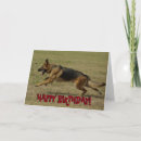 Search for funny german shepherd cards Gsd