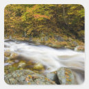 Search for brooks stickers Usa