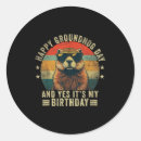 Search for super bowl stickers Black history month facts