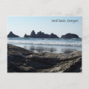 Search for searching postcards Ocean