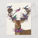 Search for bird lovers postcards Animals