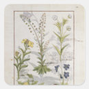 Search for herbal medicine stickers Illuminated