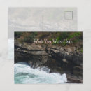 Search for peacock feathers postcards Photography