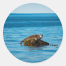 Search for coastal photo stickers Sea