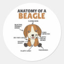 Search for cute beagle stickers Dogs
